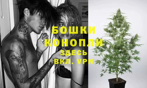 крисы Беломорск